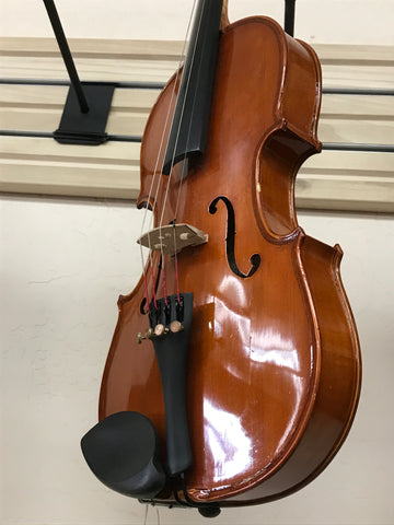 Violin - Parrot - 3/4 Size