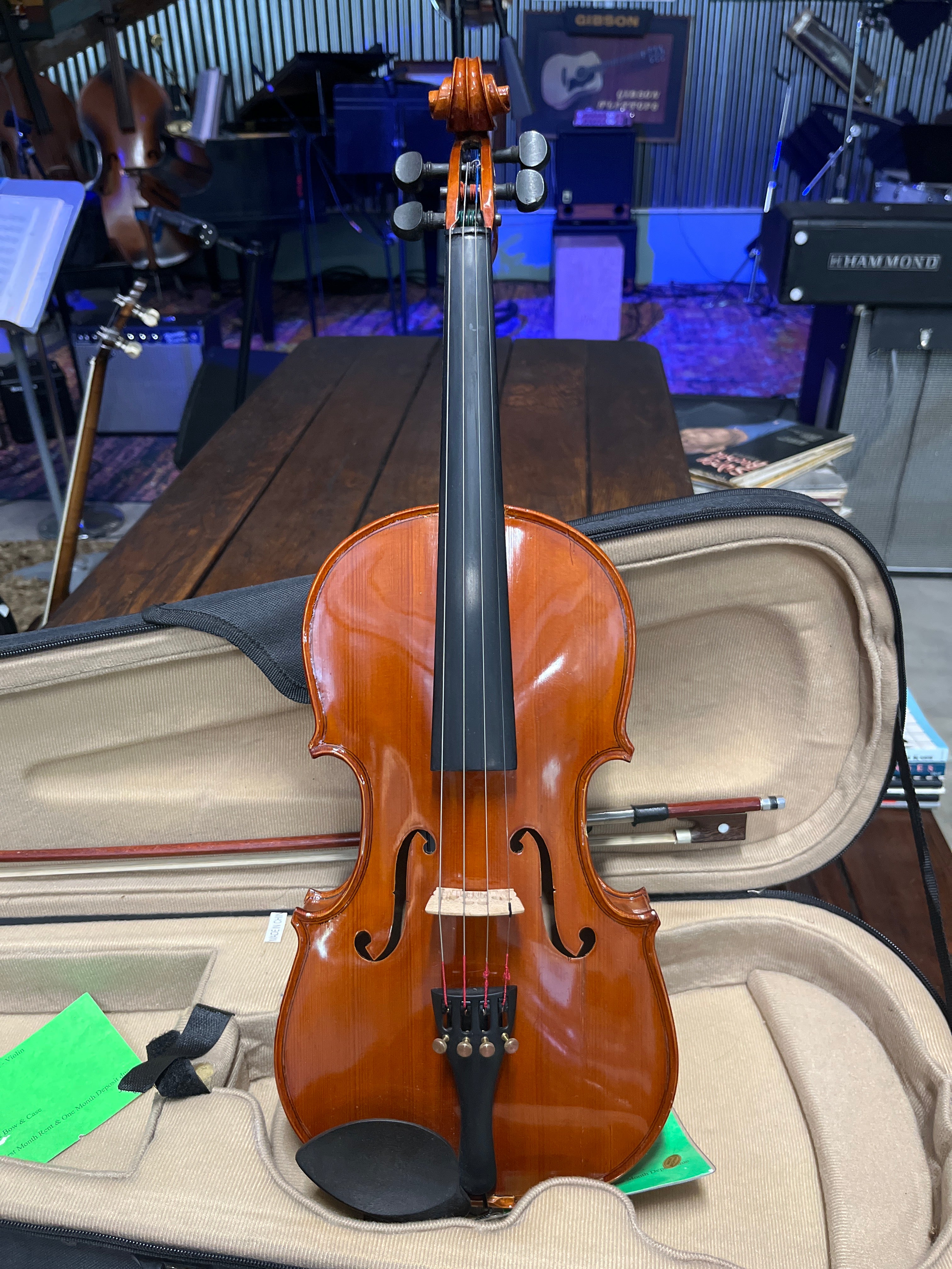 Violin - Parrot - 3/4 Size