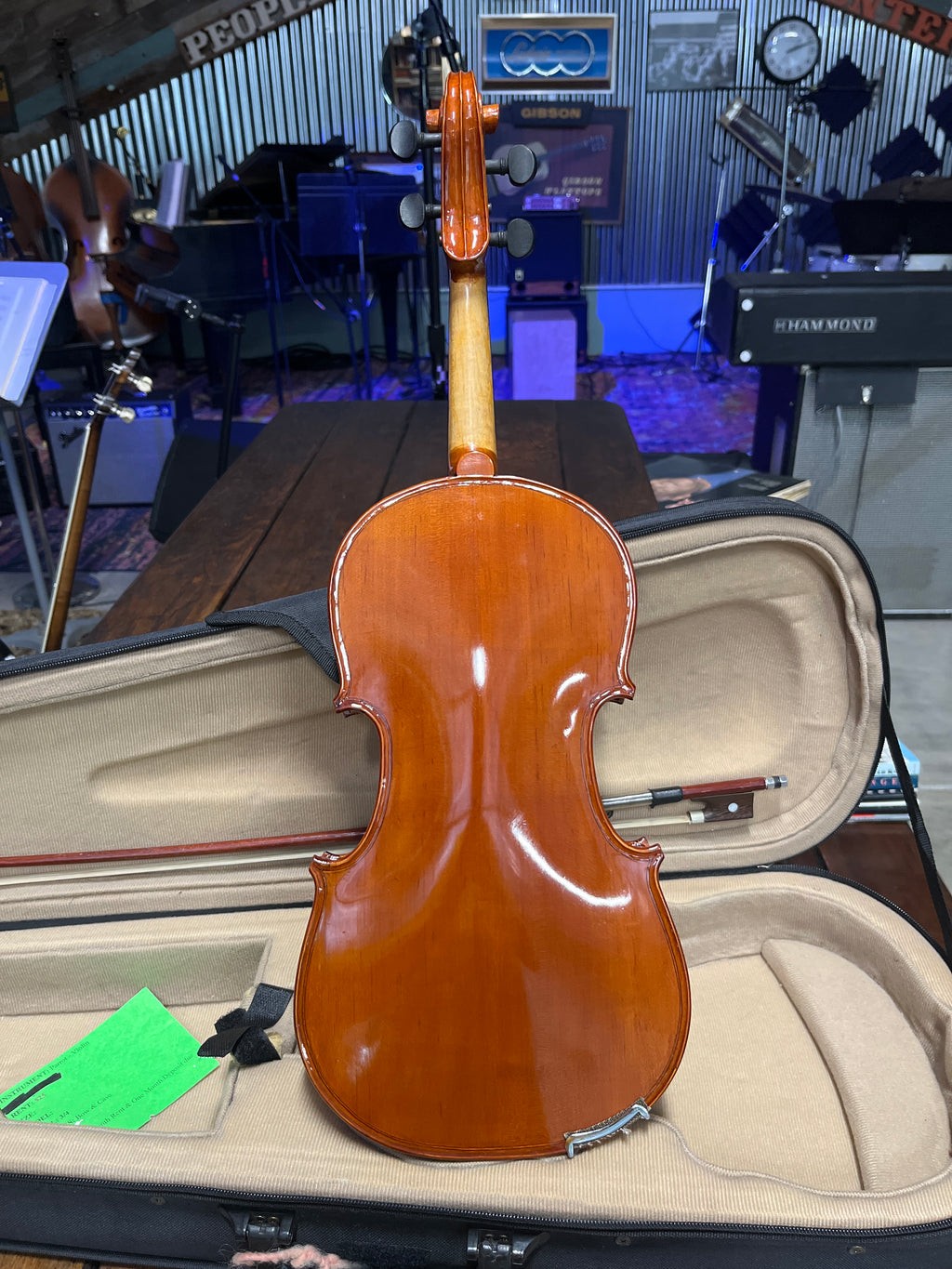 Violin - Parrot - 3/4 Size