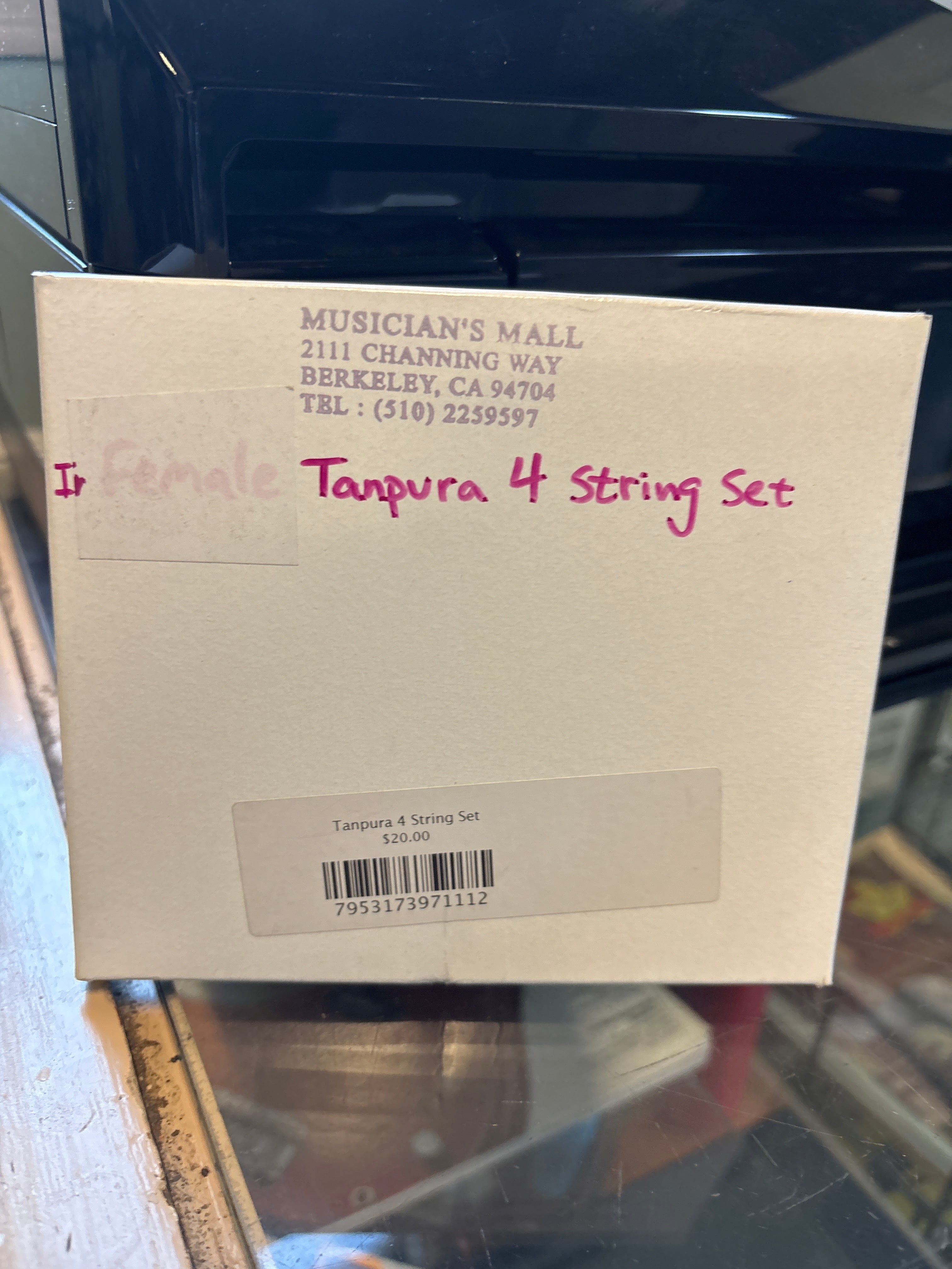 Tanpura 4 String Set