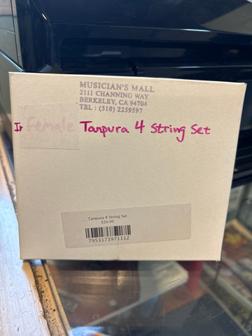 Tanpura 4 String Set