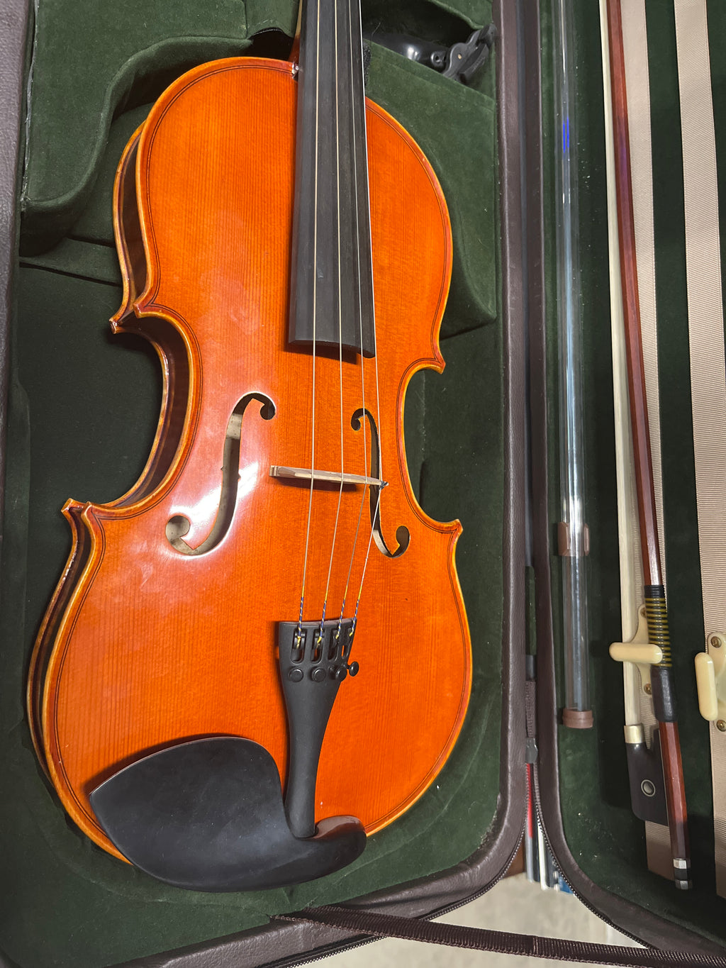 No Name Viola - 14" Outfit