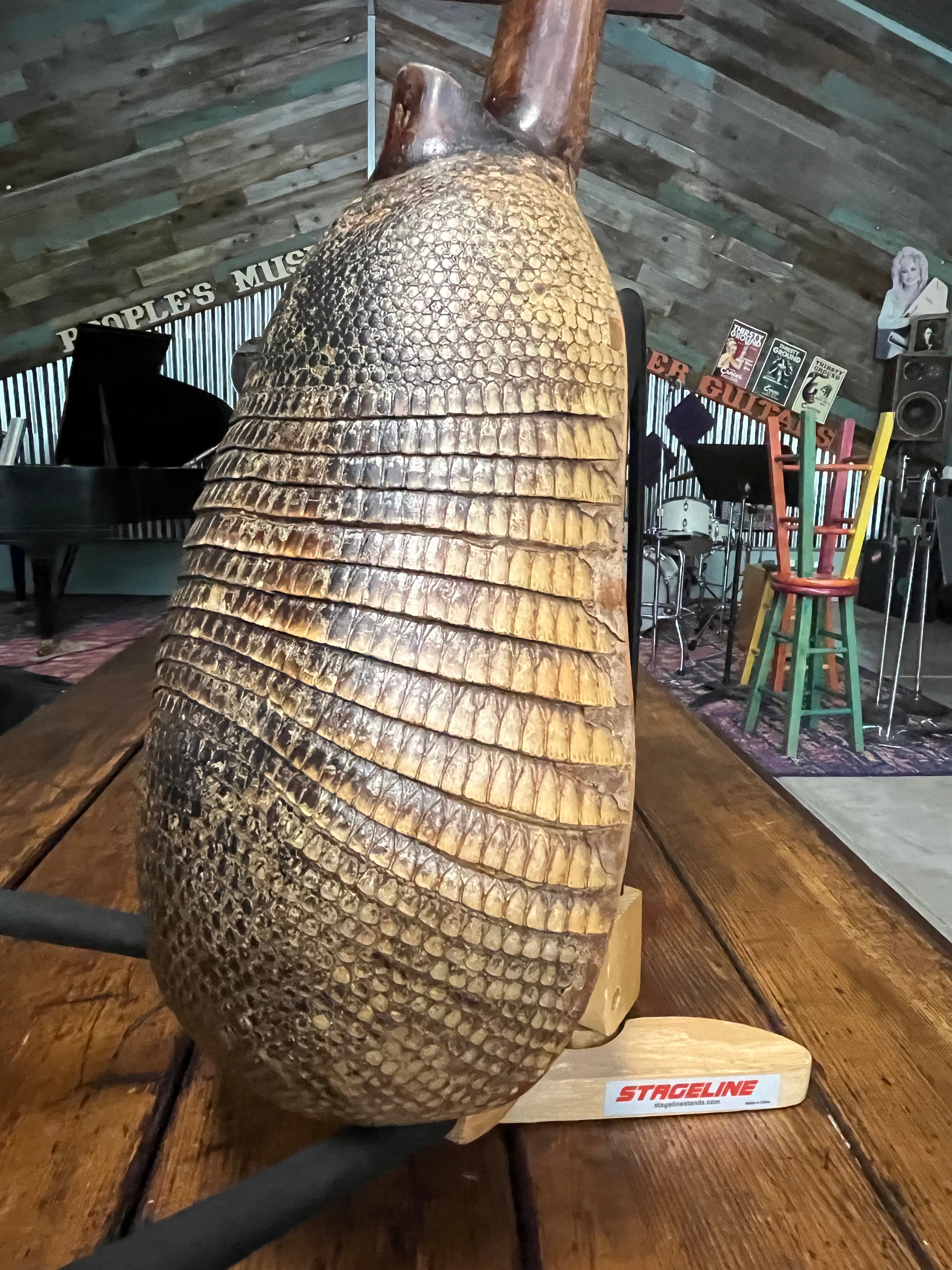 Vintage Bandurria with Armadillo Back (Used)