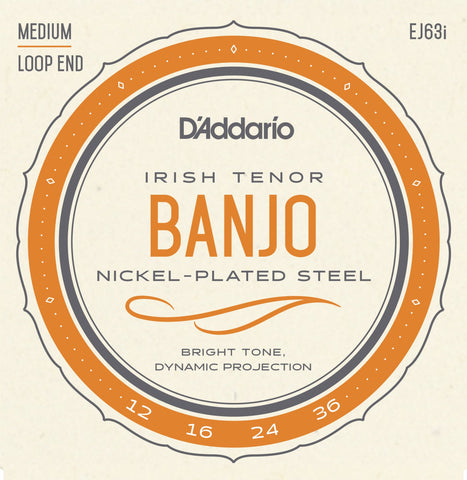D'Addario- Irish Tenor Banjo Loop End Strings #EJ63 - Nickel Plated Steel - Medium Gauge