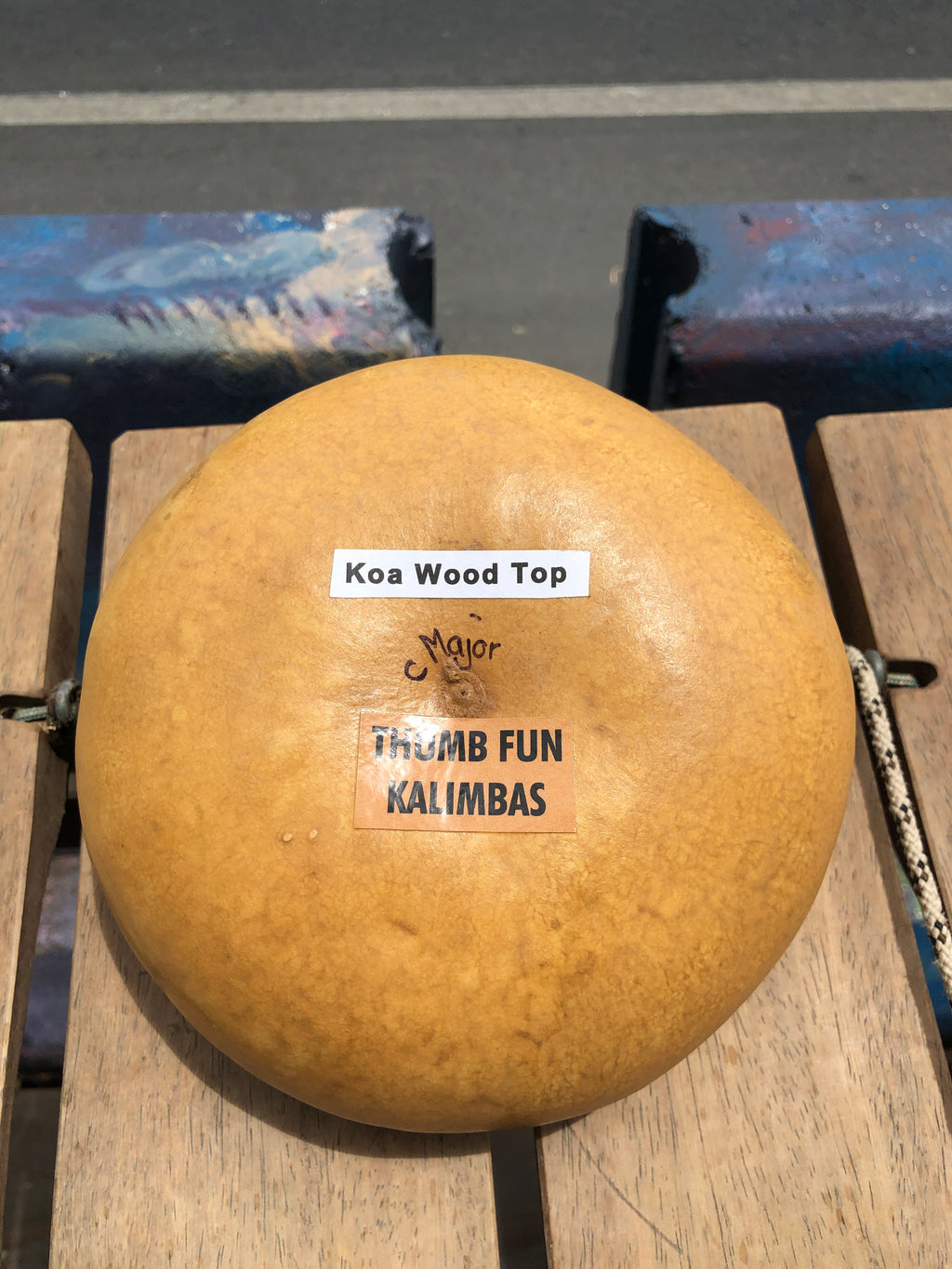 Thumb Fun Kalimbas - C Major w/Dragonflies & Koa Wood Top