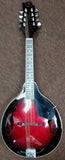 Samick Mandolin designed by Greg Bennett model MA-2/WR w/case