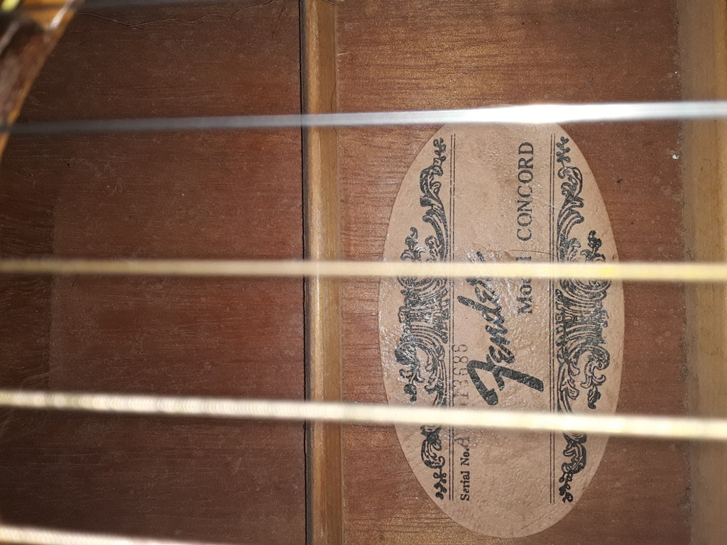 80s Fender Concord Acoustic Guitar w/hard case