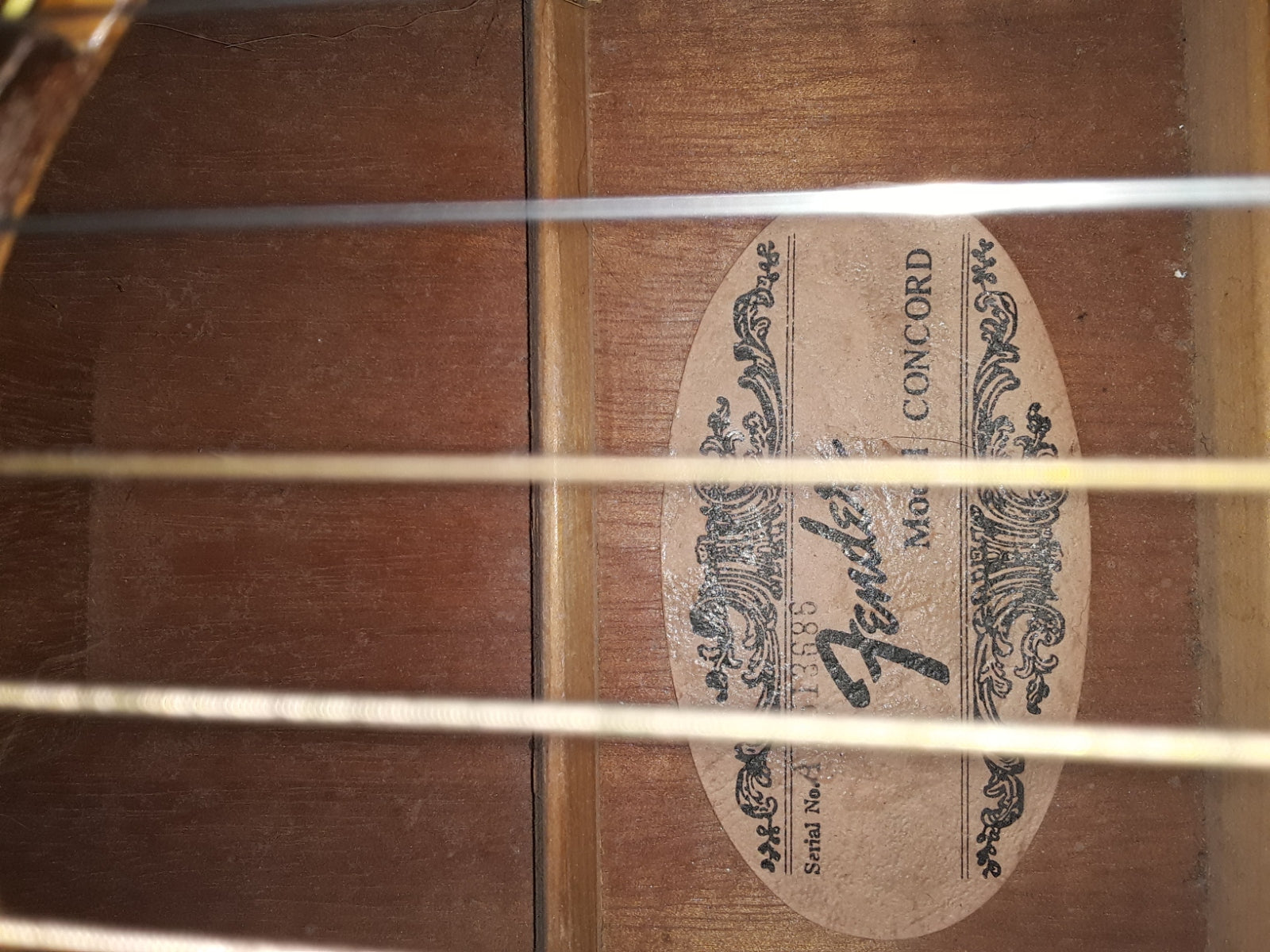 80s Fender Concord Acoustic Guitar w/hard case