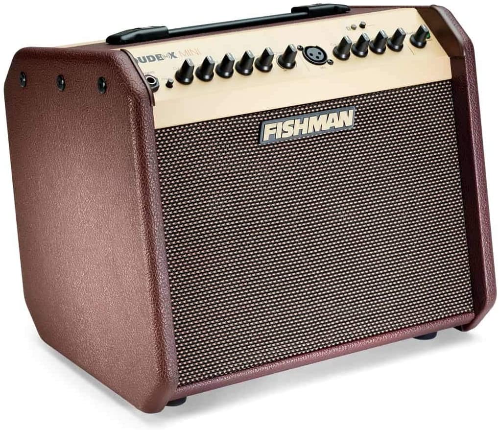 Fishman - Loudbox Mini - LBT-500 - Amplifier
