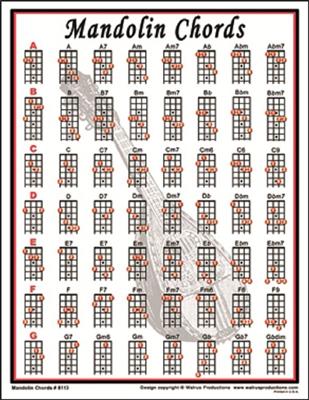 Mandolin Chords (Book)