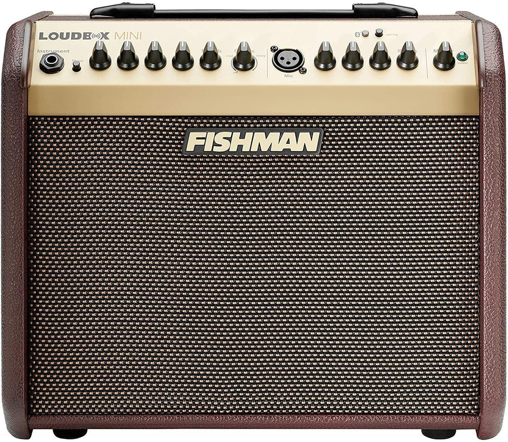 Fishman - Loudbox Mini - LBT-500 - Amplifier