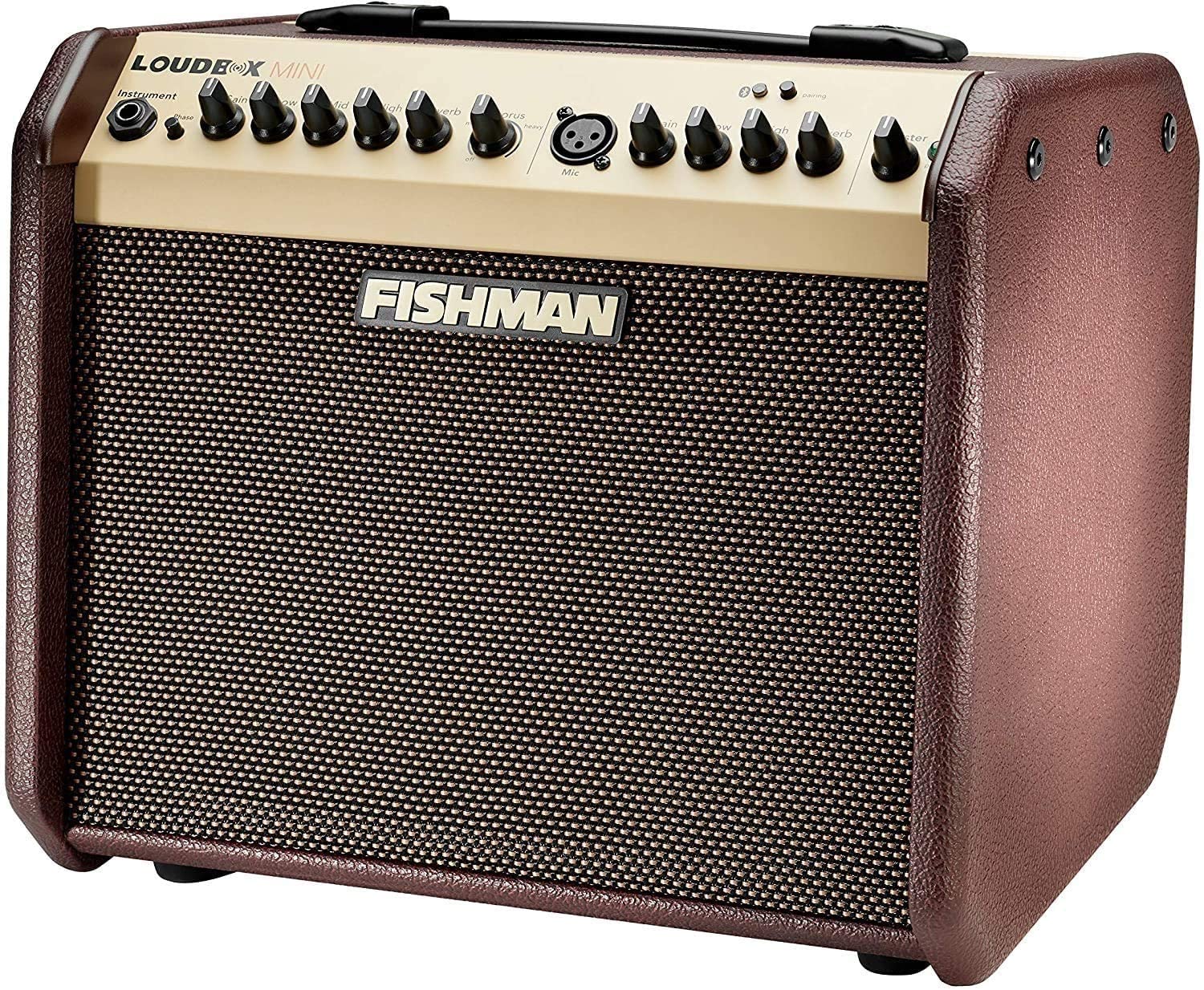 Fishman - Loudbox Mini - LBT-500 - Amplifier