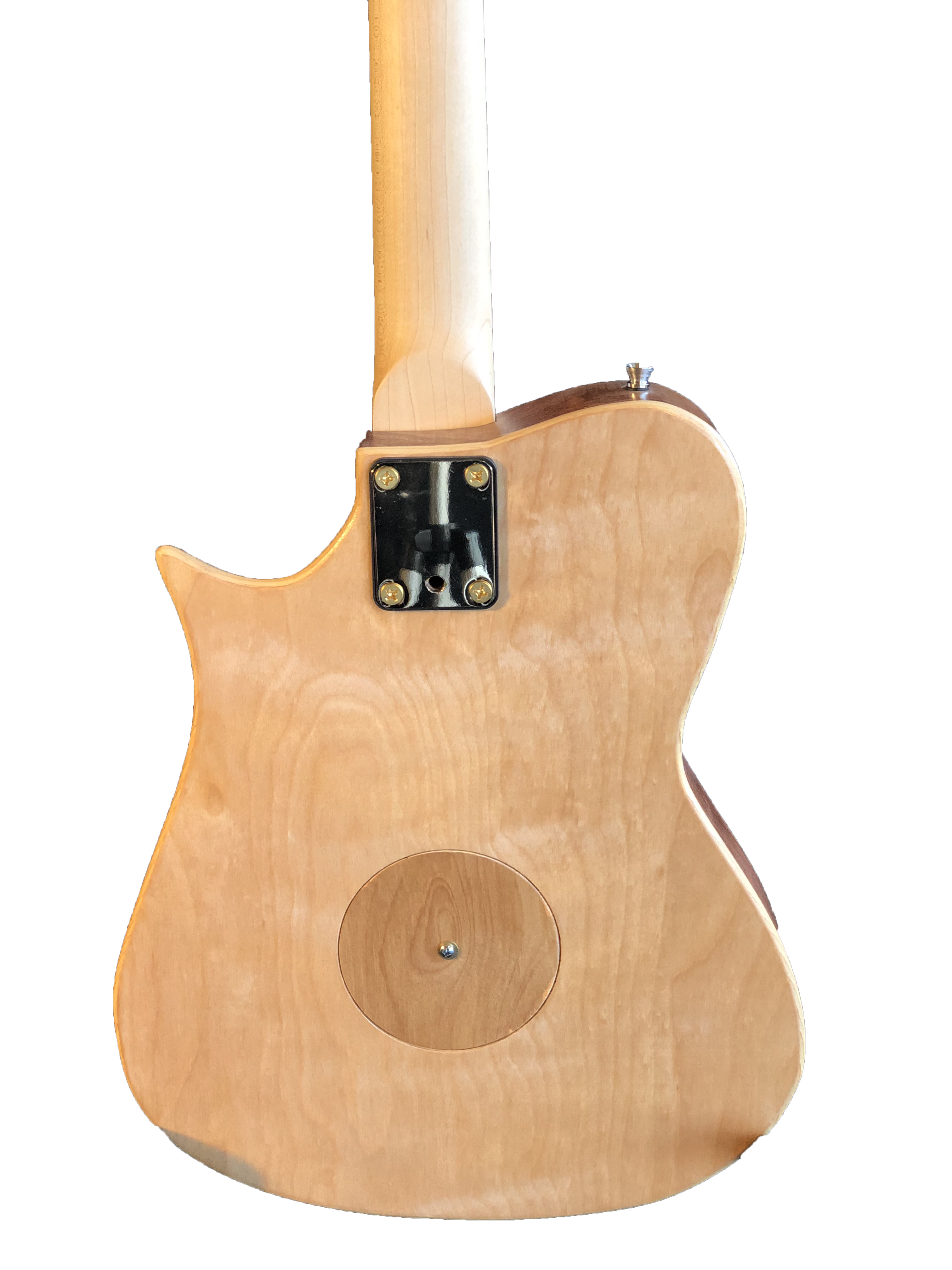 Crude Luthier - Alfonso The Road Man - Hollow Wine Vat Wood - Electric Guitar