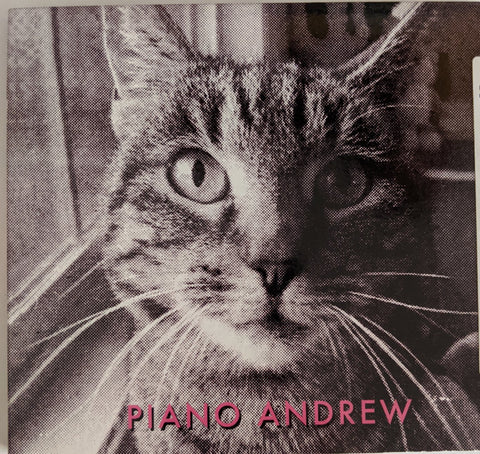 Andrew Purcell - "Pretty Cat" Envelope sleeve - CD