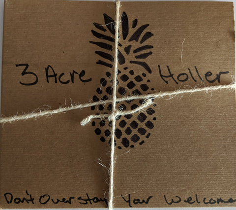 3 Acre Holler - "Don't overstay your welcome" - CD