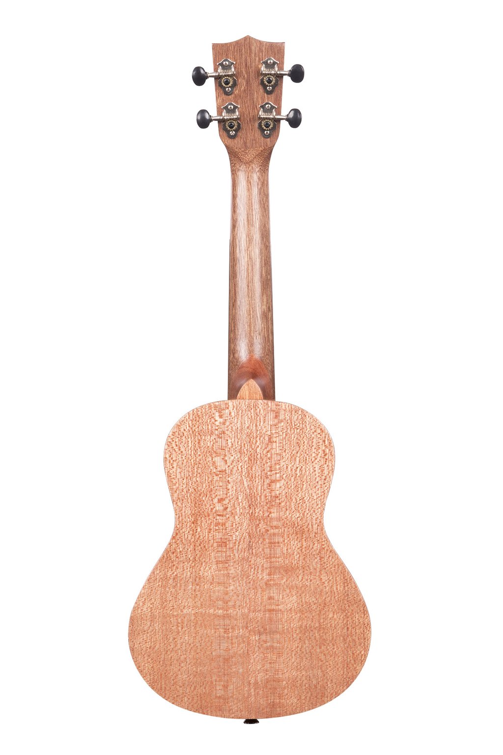 Burled Meranti - Concert - Ukulele