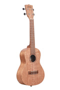 Burled Meranti - Concert - Ukulele