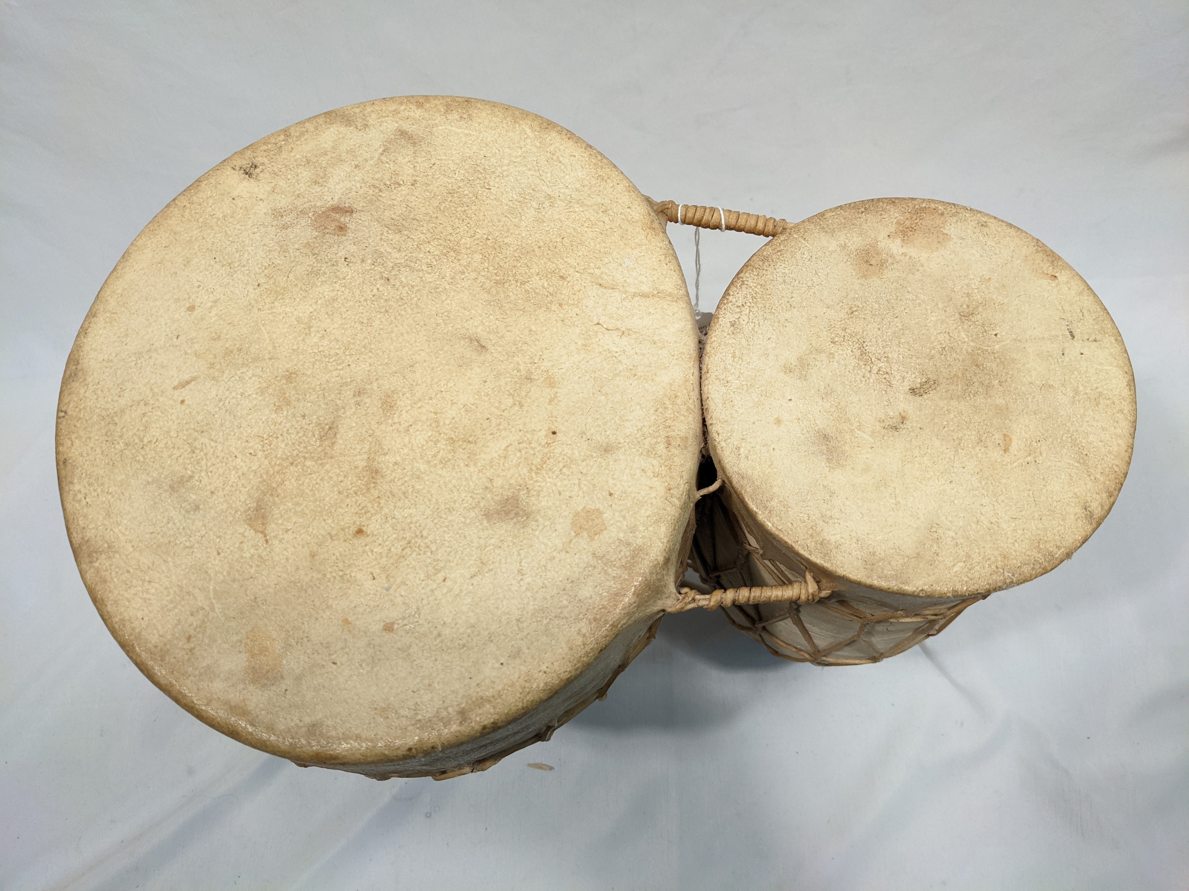 Clay African Bongos