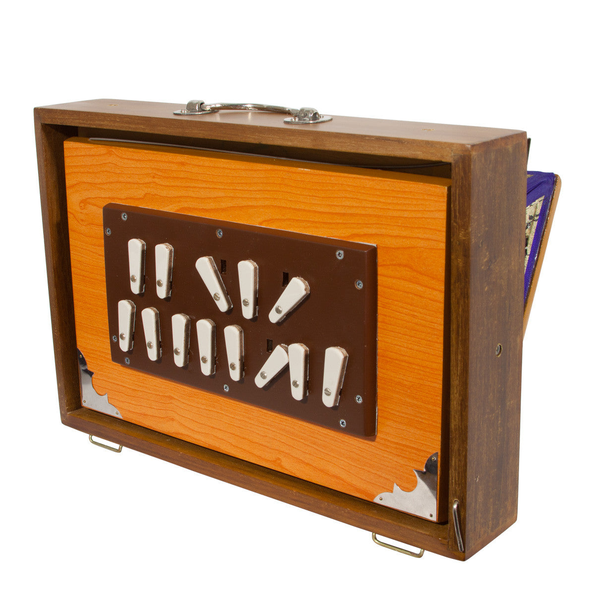BANJIRA DELUXE SHRUTI BOX W/ SIDE CONTROLS 4C-5C