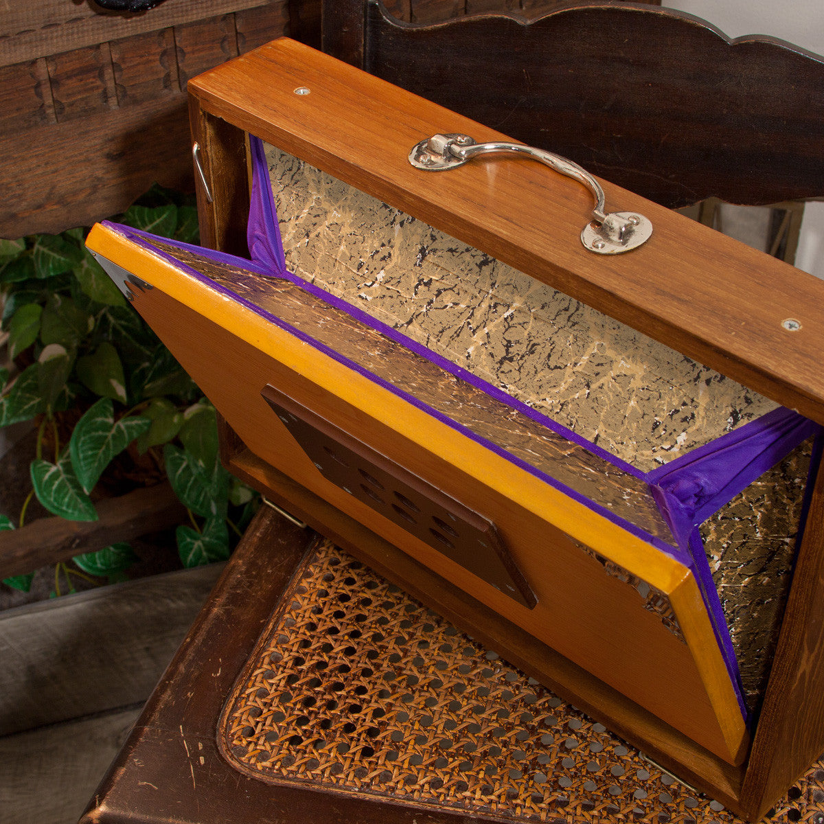 BANJIRA DELUXE SHRUTI BOX W/ SIDE CONTROLS 4C-5C