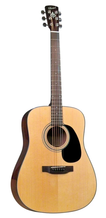 BD-16 - Blueridge Bristol - Dreadnought Guitar w/ Bag