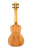 Kala - KA-FMCG - Solid Spruce Flame Maple Concert Ukulele