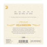 D'Addario - 10 String Viola Brasileira - EJ82A - Cebolao Re & Boiadeira