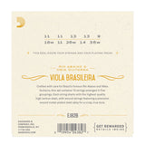 D'Addario - 10 String Viola Brasileira - EJ82B - Rio Abaixo & Meia Guitarra
