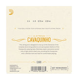 D'Addario - Cavaquinho (4 String) Stainless Steel - EJ93