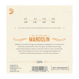 D'Addario- Mandolin Loop End Strings #EJS74 - Stainless Steel - Medium Gauge