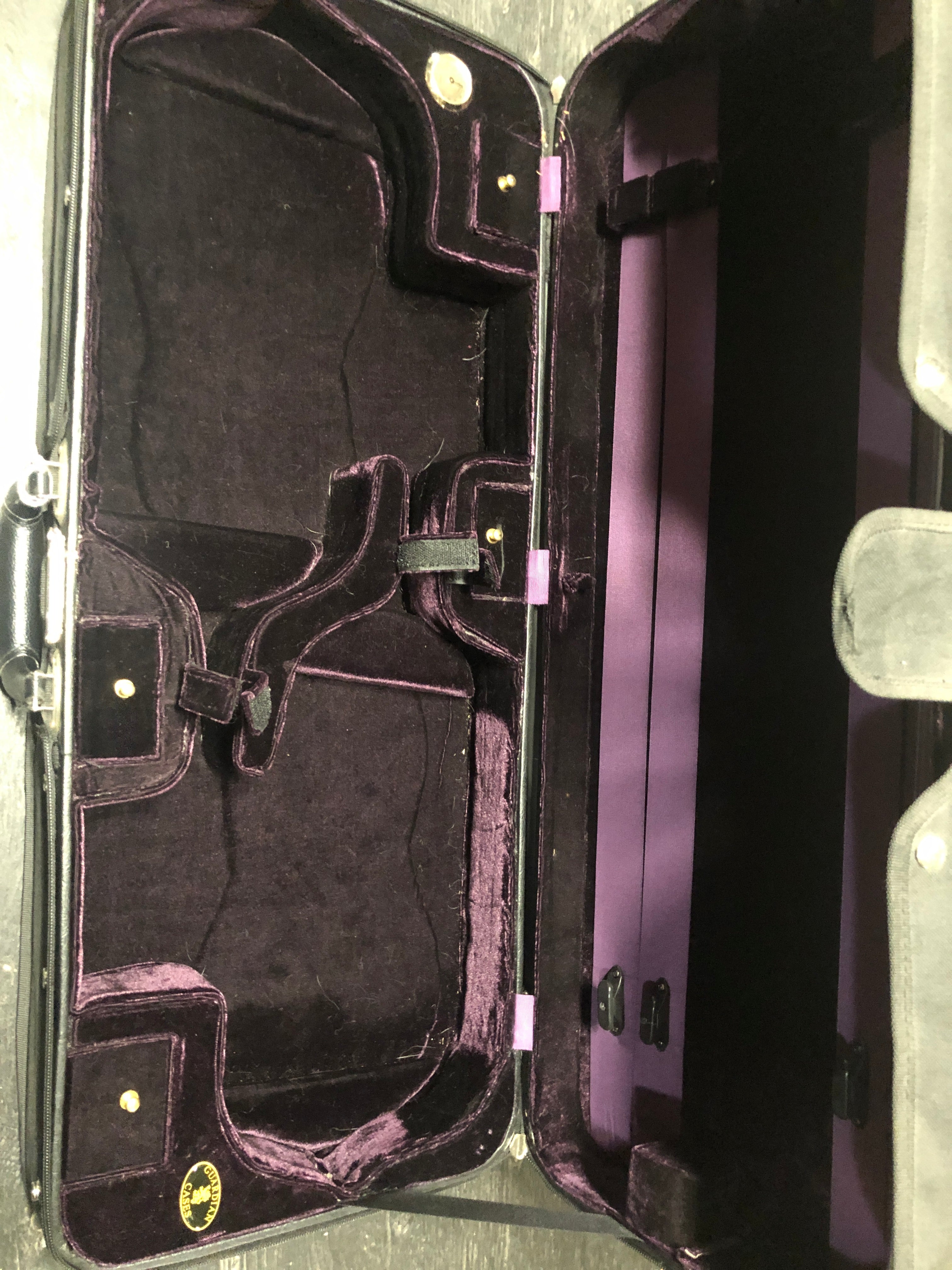 Double Violin Case