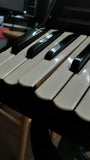 Columbo and Sons Grande Vox 120  3B1 Accordion w/case