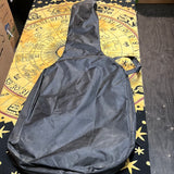 Electric Guitar gig bag - Used