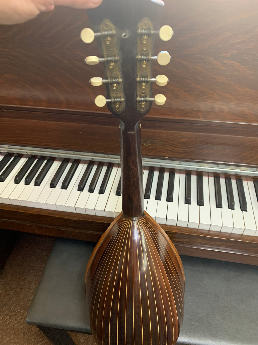 Mario Casella - Bowlback Mandolin