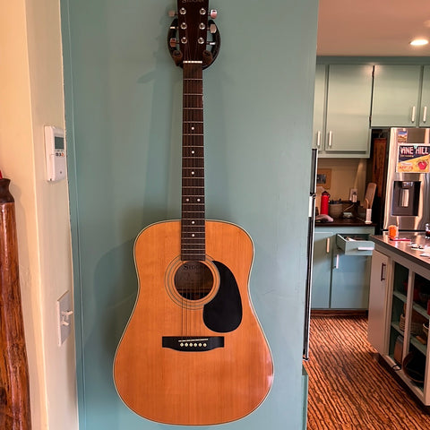 Sedona SD46S Acoustic Guitar (used)