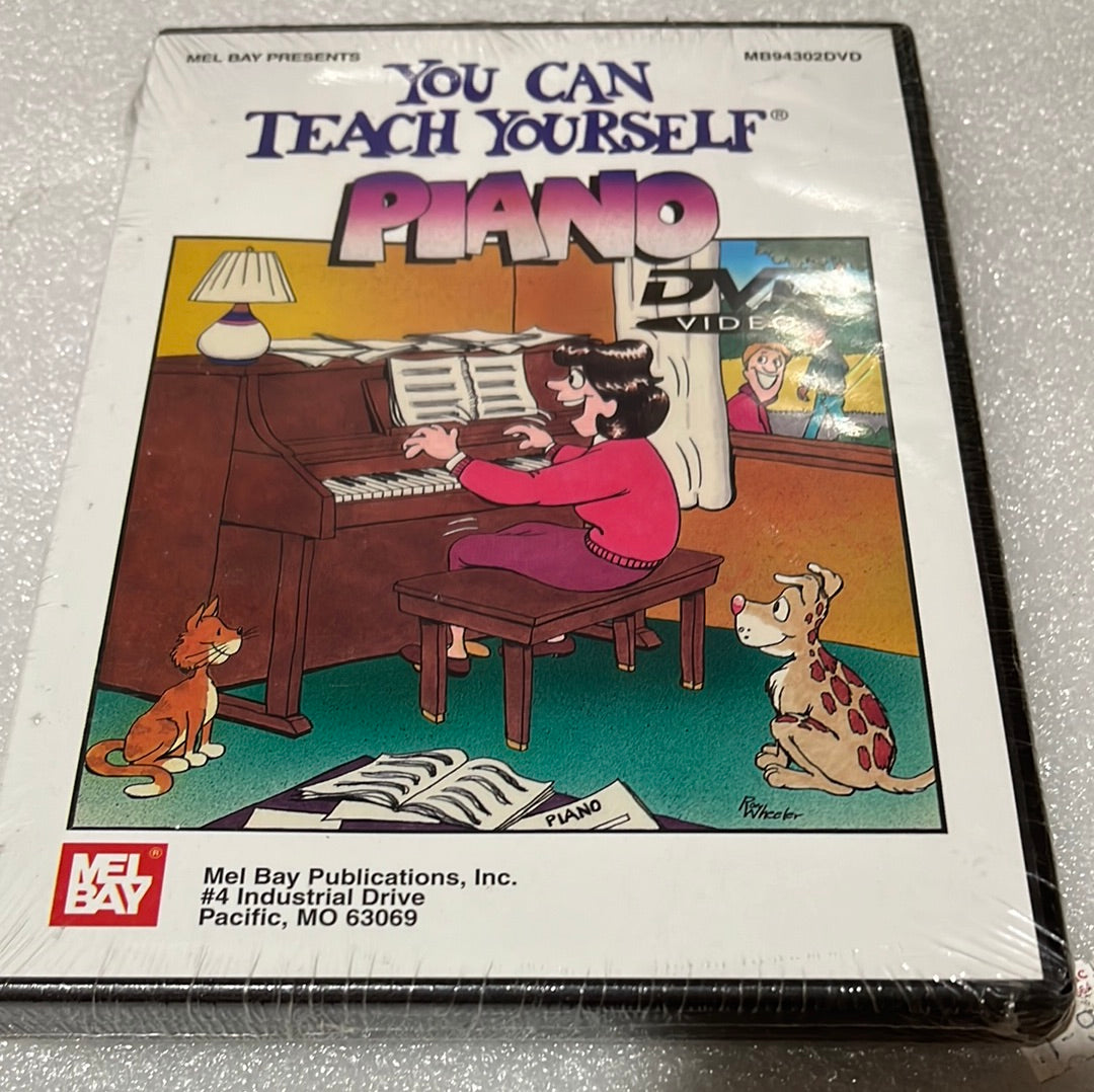 You can teach yourself Piano