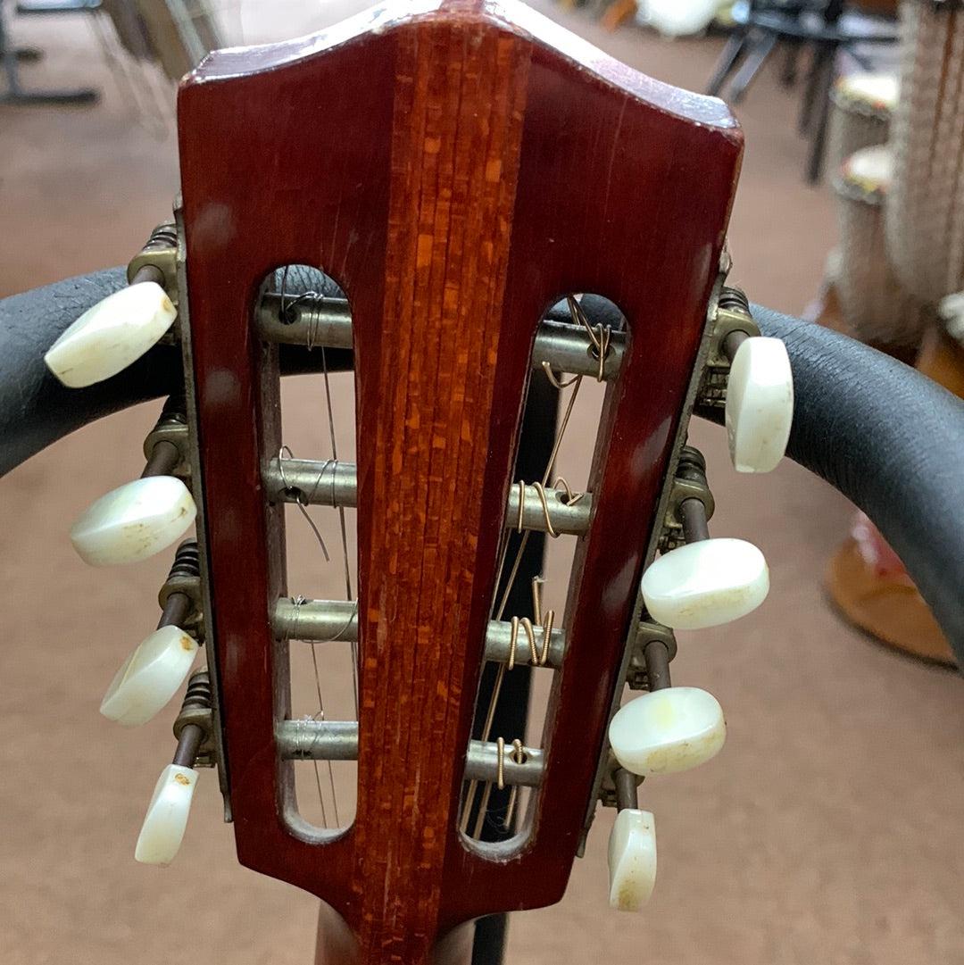 Hans Houser Mandolin - 1960's