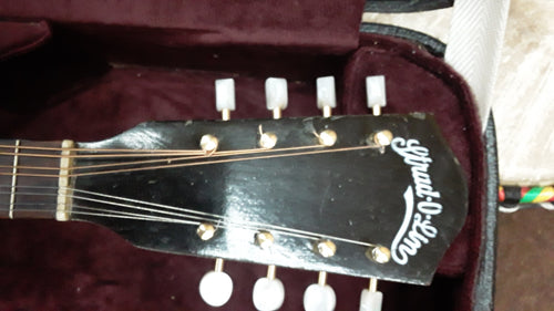 1950's Vintage Strad-O-Lin Mandolin w/Hard Case